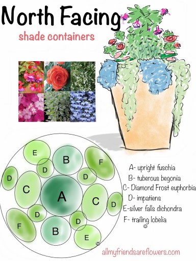 Flowers for Beth- Container Garden Recipes